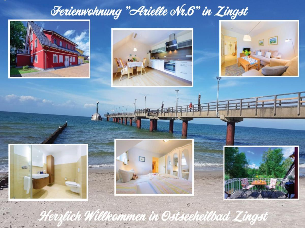 Apartmán Arielle Nr 6 - Fuer Die Schoenste Zeit Des Jahres - Zingst Exteriér fotografie